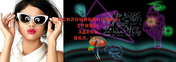 дживик Переславль-Залесский