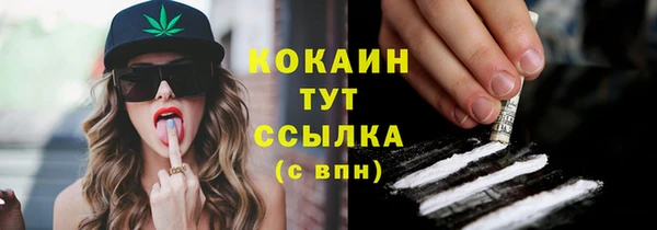дживик Переславль-Залесский