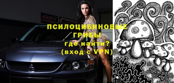 дживик Переславль-Залесский