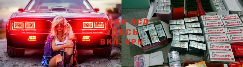 ЛСД экстази кислота  как найти закладки  Вязьма 